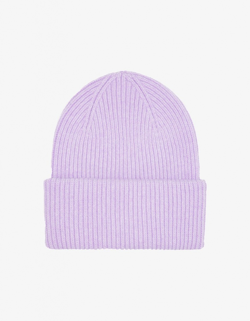 Colorful Standard Wool Hat Lavendel 